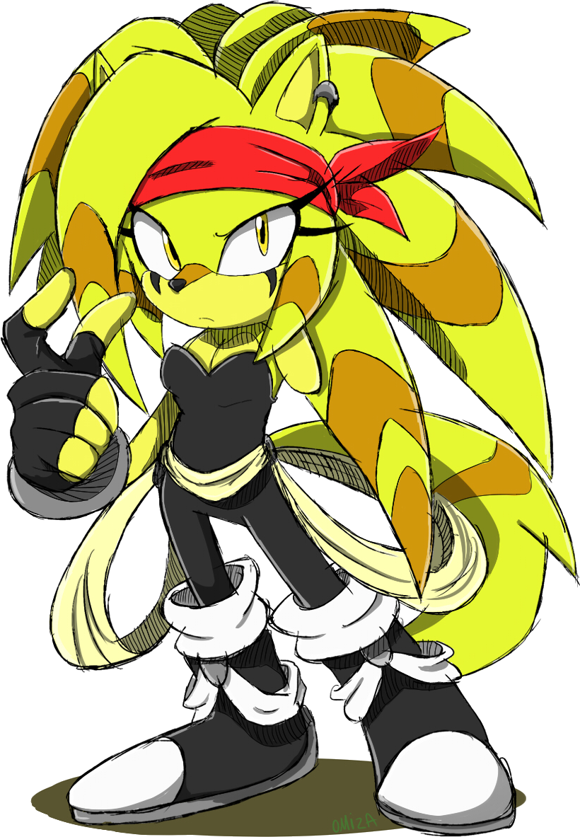 Sonic Channels - Sonic Fan Designs (1024x1201)