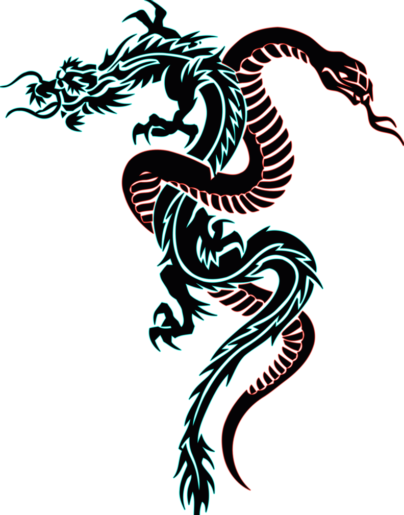 Dragon And Snake Tattoo By Djakal12 On Deviantart - Dragon And Snake Tattoo (792x1009)