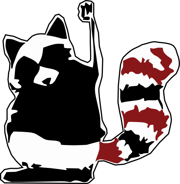 Raccoon Fist (1252x1280)