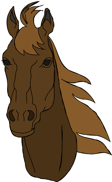 Animals, Head, Face, Horse, Mammals, Horses, Mammal - Horse Head Clip Art (398x640)