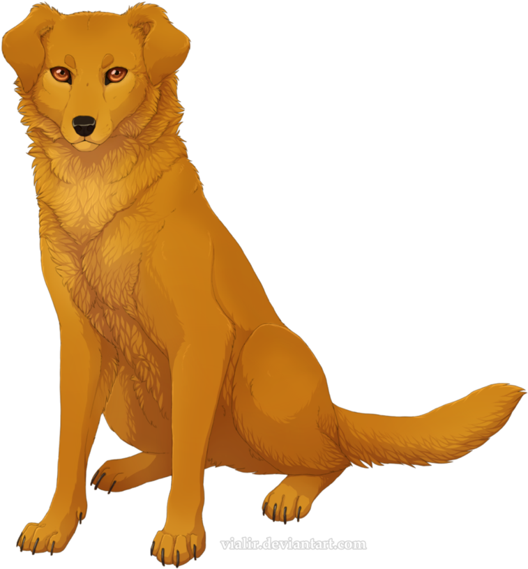 Lucky From Books "survivors\ - Survivors Erin Hunter Lucky (923x865)