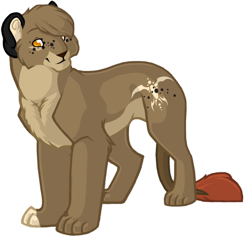 Cat Lion Mammal Terrestrial Animal Clip Art - Cartoon (899x833)