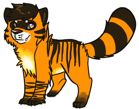 Tiger Racoon Auction Adopt Closed By Spunkyadopts - Tiger Racoon Auction Adopt Closed By Spunkyadopts (574x435)