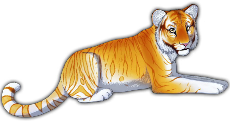 Golden Tabby Tiger By Narmicreator On Deviantart - Golden Tabby Tiger Drawing (900x506)