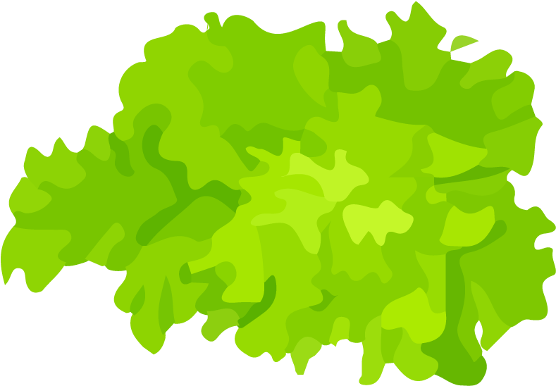 Crispy Salat - Illustration Salade (1043x1043)