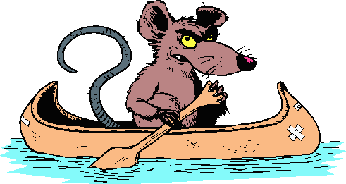 Coloured Cartoon Of Irate Rat Paddling A Canoe - Rat In A Boat (491x261)