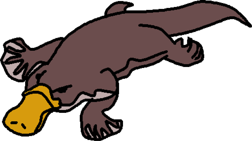 Platypus Clipart Free Images - Platypus Clipart (512x286)