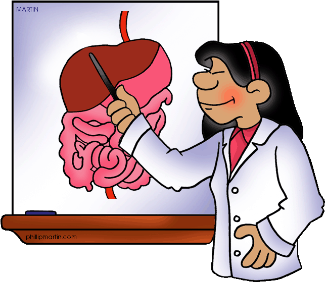 Digestive Clipart - Digestive System Clip Art (648x576)