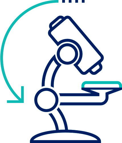 Current Areas Of Focus - Current Areas Of Focus (428x503)