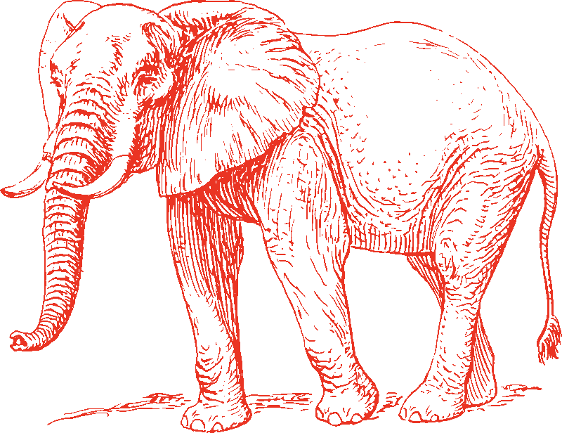 The Backgrounds Look Black, But It's That Way Because - Elefant In Scheiben Schneiden (800x616)