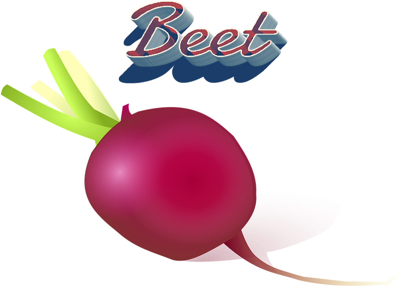 Beet Png Clipart - Cartoon Radish (1499x1095)