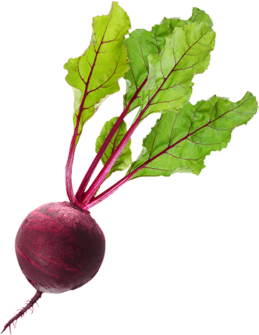 Beet Png Clipart - Beet Png (400x501)