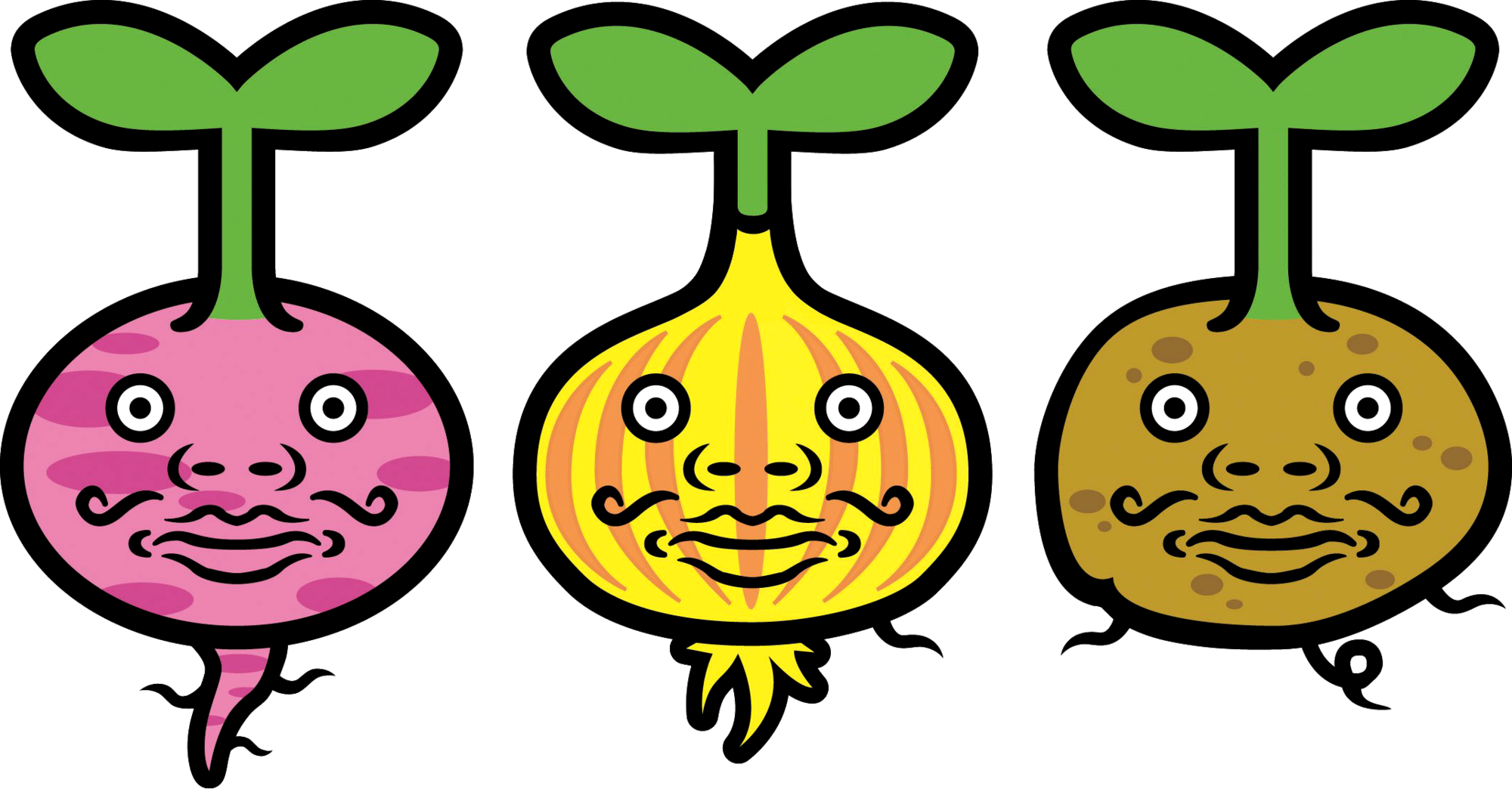 Beetroot (2000x1044)