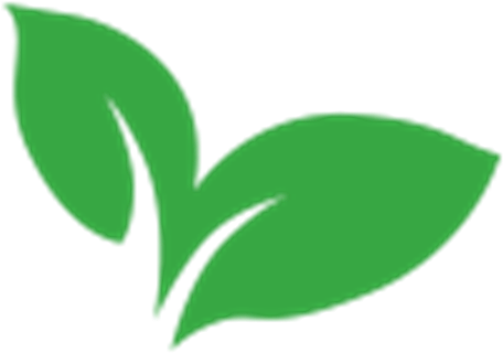 Understanding Water Uptake In Sugar Beet - Understanding Water Uptake In Sugar Beet (500x500)