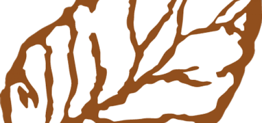 Cigar Giveaways - Tobacco Leaf Logo (520x245)