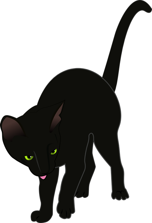 Cat, Black, Vector, Animals, Cat's Eye, Black Cat, - แมว ดำ Png (489x720)