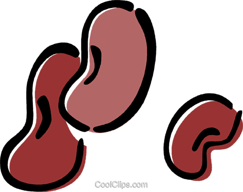 Kidney Bean - Gif Fagioli (480x380)