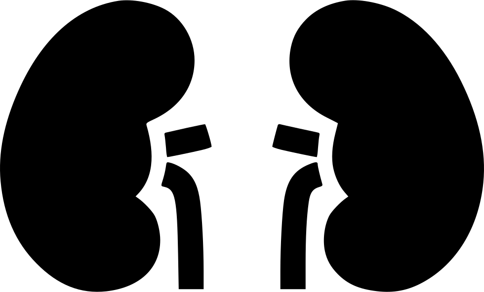 Kidneys Comments - Kidneys Comments (980x592)