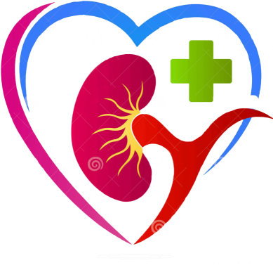 High Creatinine Level Is A Big Trouble For Kidney Failure - Kidney (396x400)