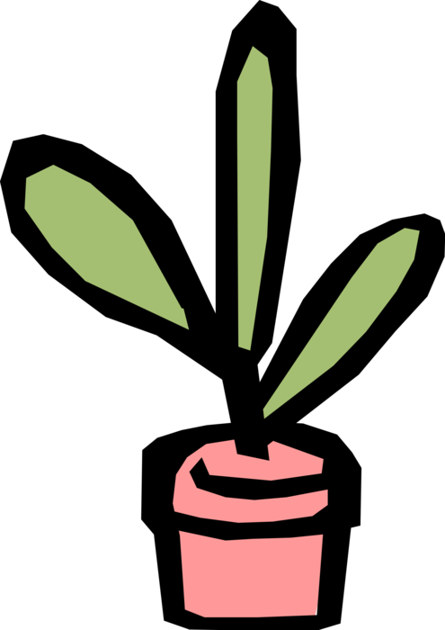 Vector Illustration Of Indoor Potted Botanical Plant - Vector Illustration Of Indoor Potted Botanical Plant (495x700)