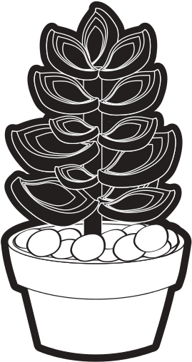 Succulent In The Potted Vector Illustration - Illustration (550x550)