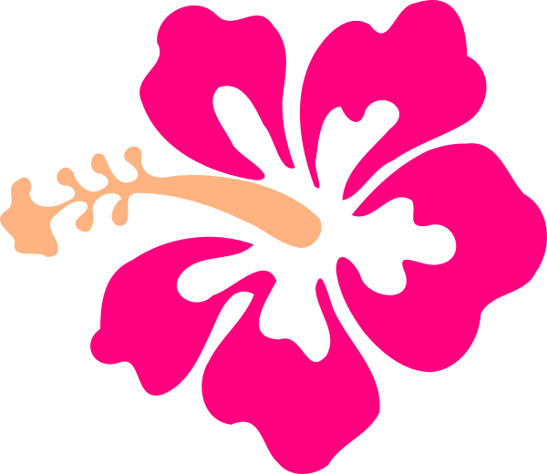 Flor De Hibisco Desenho (600x520)