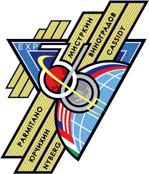 Iss Mission 36 Mission Patch - Expedition 36 (571x600)