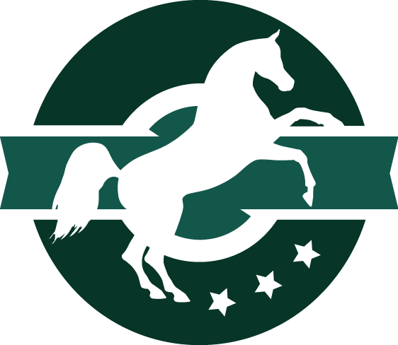 Al Khalediah European Arabian Horse Festival - Stallion (562x488)