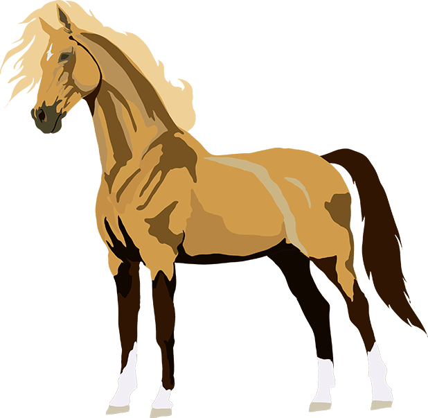 Realistic Horse Art - Horse (618x603)