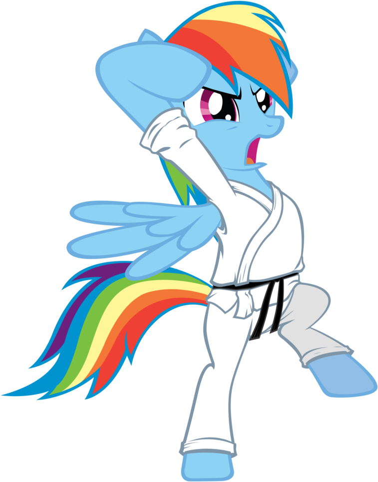 Rainbow Dash Twilight Sparkle Rarity Pinkie Pie Applejack - My Little Pony Karate (778x1026)