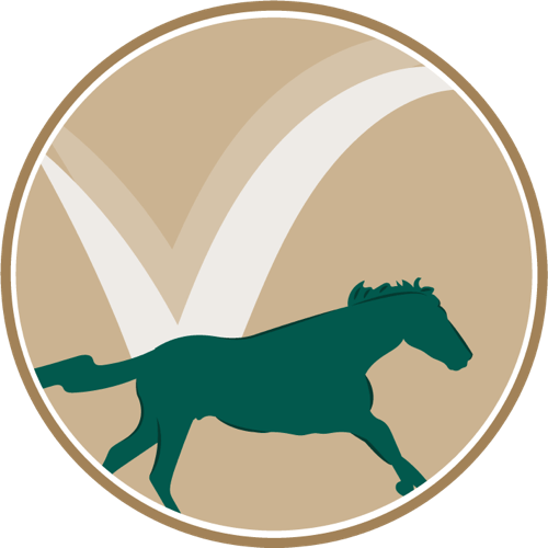 Our Values - Sukh Sagar Logo (500x500)