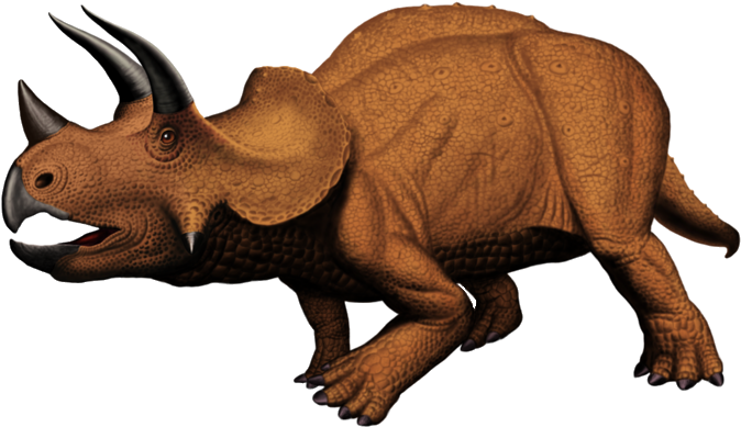 Triceratops Dinosaur - - Triceratops Clipart Png (700x415)