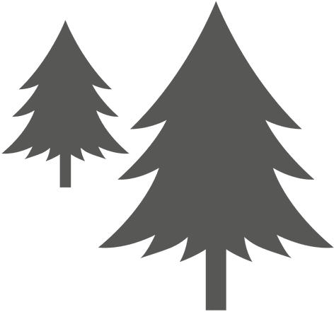 Pine Trees Icon - Icono Pino (512x512)