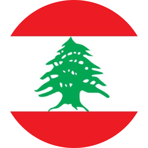 Cultures All Over The World - Lebanon Flag Vector (495x495)