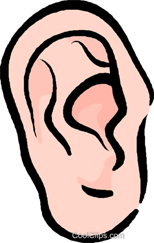 Human Ear Royalty Free Vector Clip Art Illustration - Clip Art (305x480)