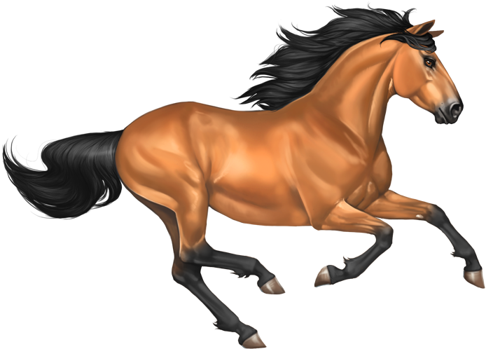 Download Png Image Report - Mustang Horse Png (700x503)