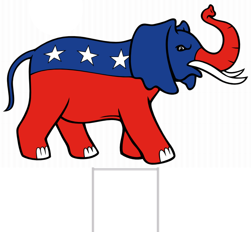 Indian Elephant (800x740)