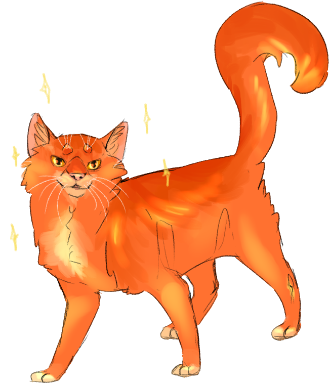 Whiskers Kitten Domestic Short-haired Cat Tabby Cat - Abyssinian (657x762)