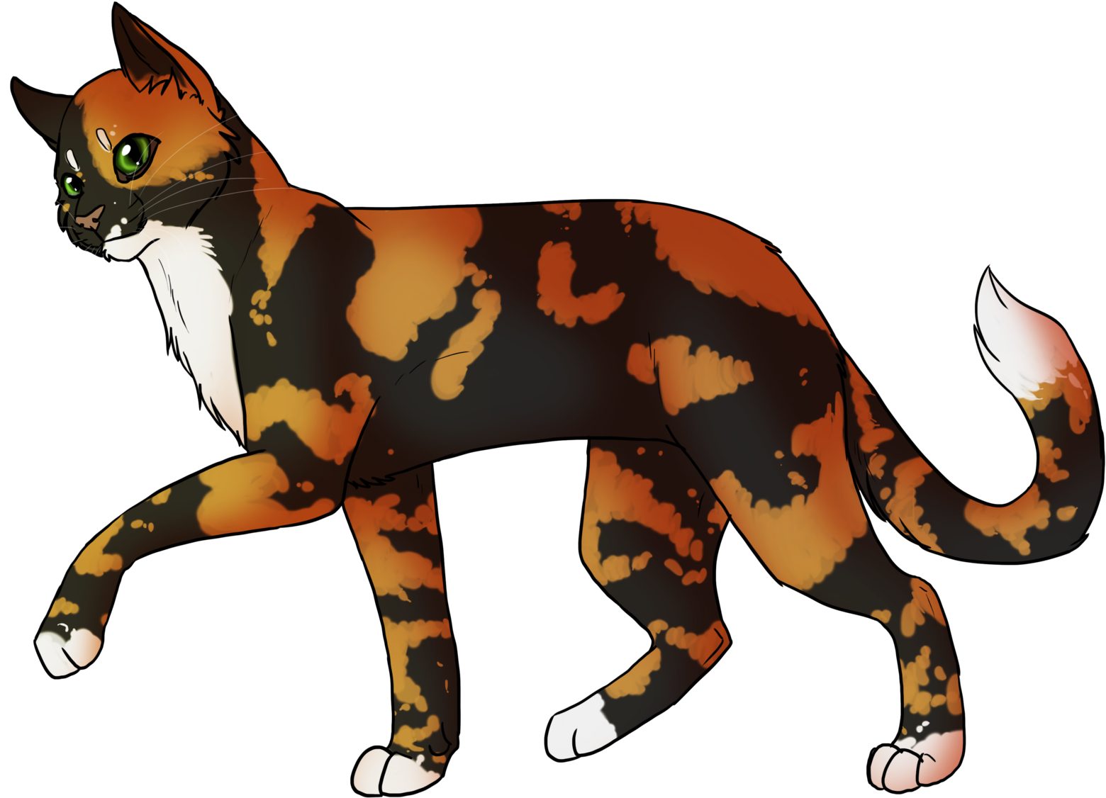 Kitten Whiskers Domestic Short-haired Cat Into The - Warrior Cats Cherrytail (1600x1217)