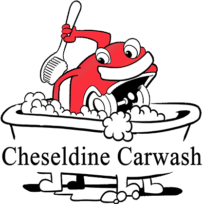Professional Car And Truck Washing & Detailing - Grace For Vets (500x435)
