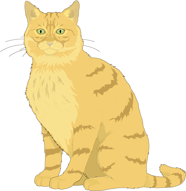 Ragdoll Kitten Euclidean Vector Clip Art - Cat (800x800)