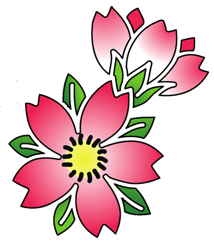Cherry Blossom Tattoos High Quality Photos And Flash - Cherry Blossom Flower Tattoo Outline (450x525)