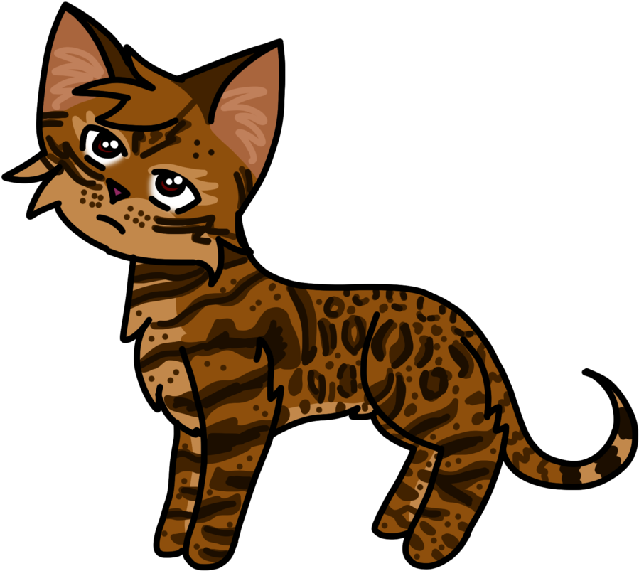 Whiskers Kitten Tabby Cat Domestic Short-haired Cat - Abyssinian (1023x945)