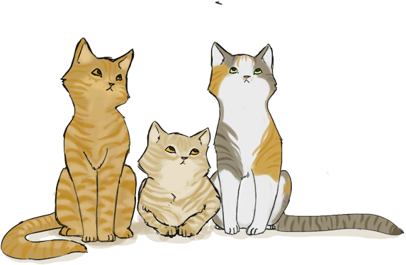 Catcontestentry - Domestic Short-haired Cat (580x458)