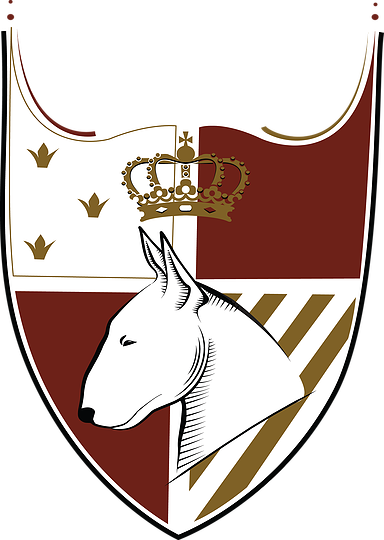 Crest - Portable Network Graphics (384x540)