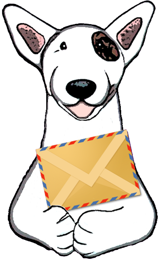 Website/general/admin Enquiries - Bull Terrier (540x856)