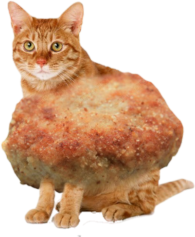 Persian Cat Kitten Cat Food Feral Cat Tabby Cat - Sympathy - Loss Of Pet Cat Card (554x776)