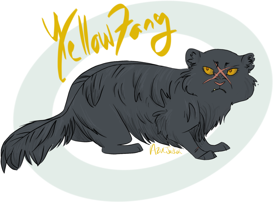 Whiskers Domestic Short-haired Cat Snout - Black Cat (1024x768)