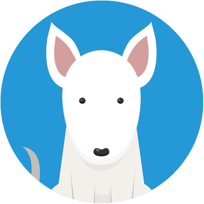 Igor - Igor (700x700)