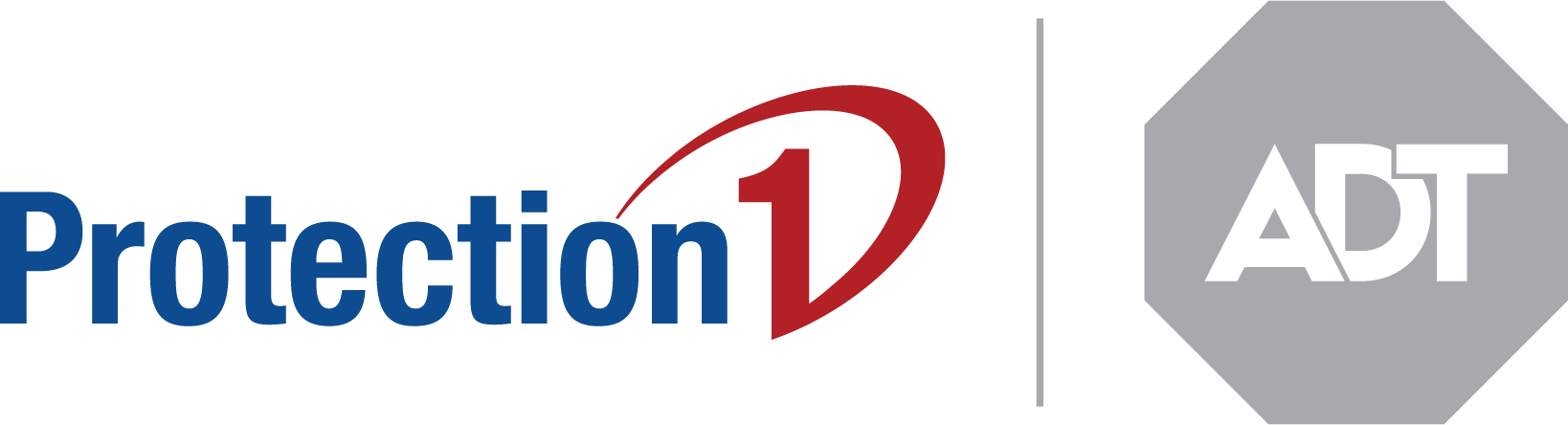 Security Solutions - Introduction To Adult Protection (1638x444)